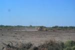 Removal of topsoil at the site for the construction of SMS